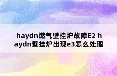 haydn燃气壁挂炉故障E2 haydn壁挂炉出现e3怎么处理